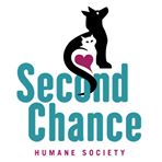 Second Chance Logo
